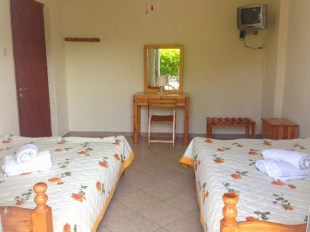 lepeniotithe5_resize