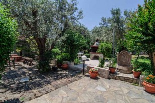 mpatsika_krikoni_new13