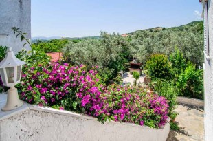 mpatsika_krikoni_new14