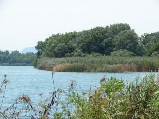 ΜΕΣΑΓΚΑΛΑ NOSTOS APARTMENTS